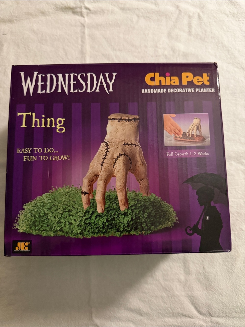New Wednesday Thing Chia Pet Handmade Decorative Planter Halloween Adam’s Family